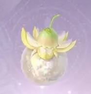 无限暖暖日光果怎么获得