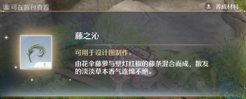 无限暖暖藤之沁在哪里