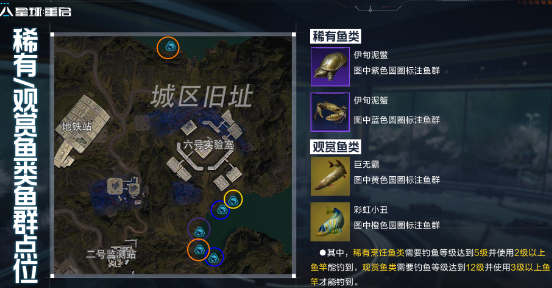 星球重启金色鱼钓鱼点在哪