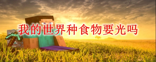 我的世界种食物要光吗