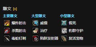 魔兽世界CTM怀旧服生存猎雕文选择