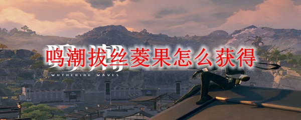 鸣潮拔丝菱果怎么获得