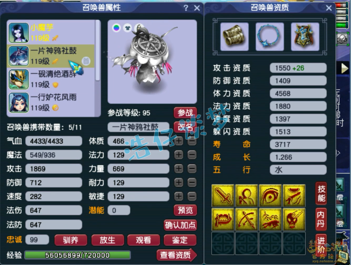 梦幻109固伤无底洞装备推荐