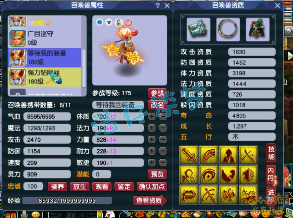 梦幻西游服战普陀展示175级