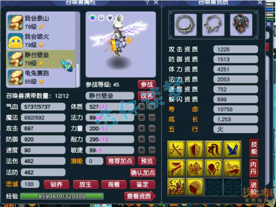 梦幻西游神木辅助69级装备展示
