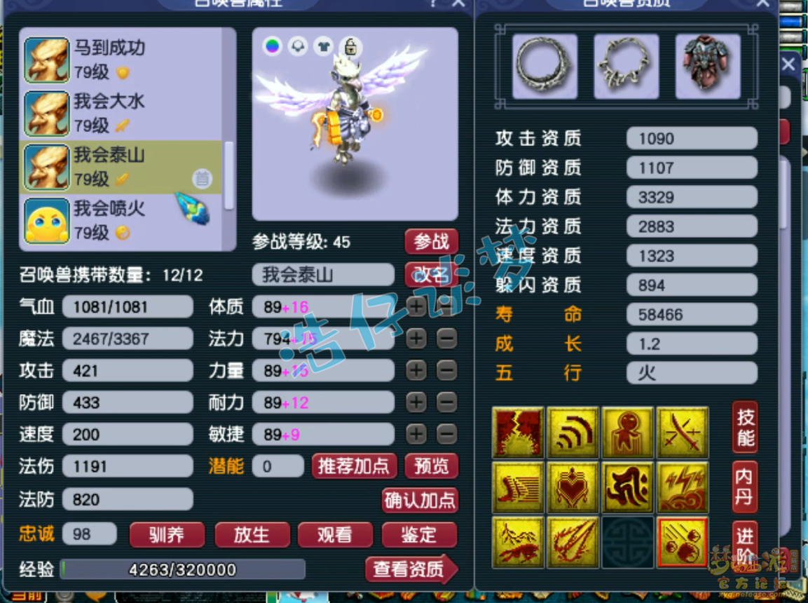 梦幻西游神木辅助69级装备展示
