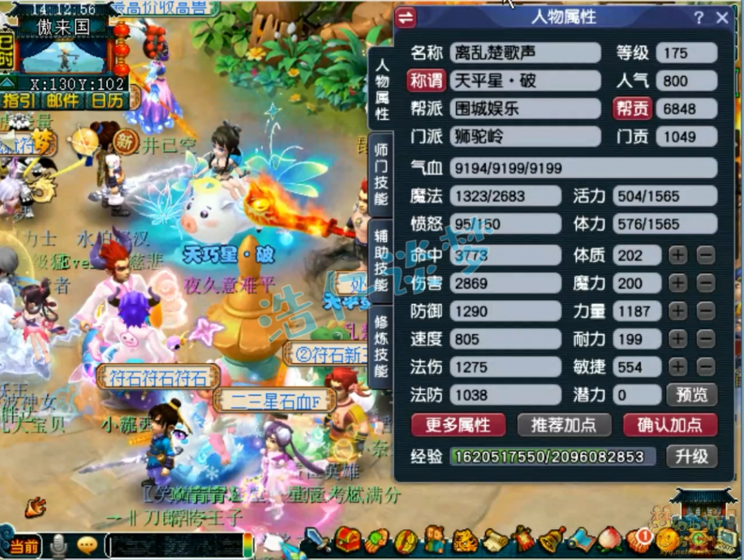 λʨ175չʾ