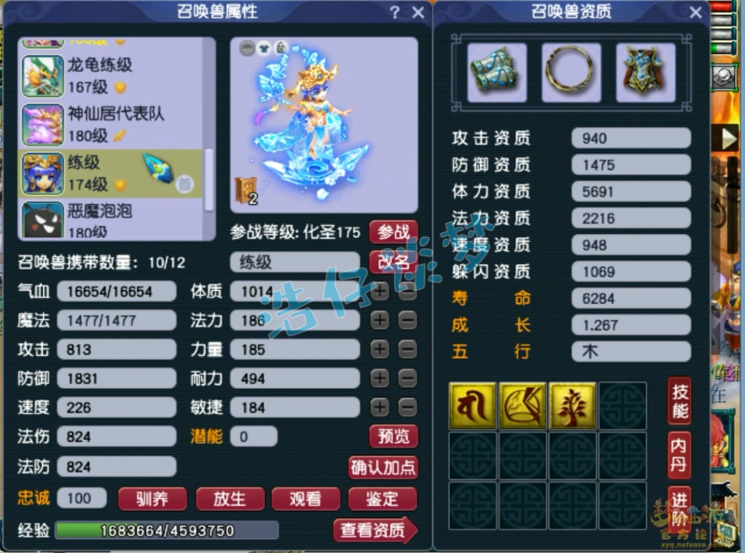 λʨ175չʾ