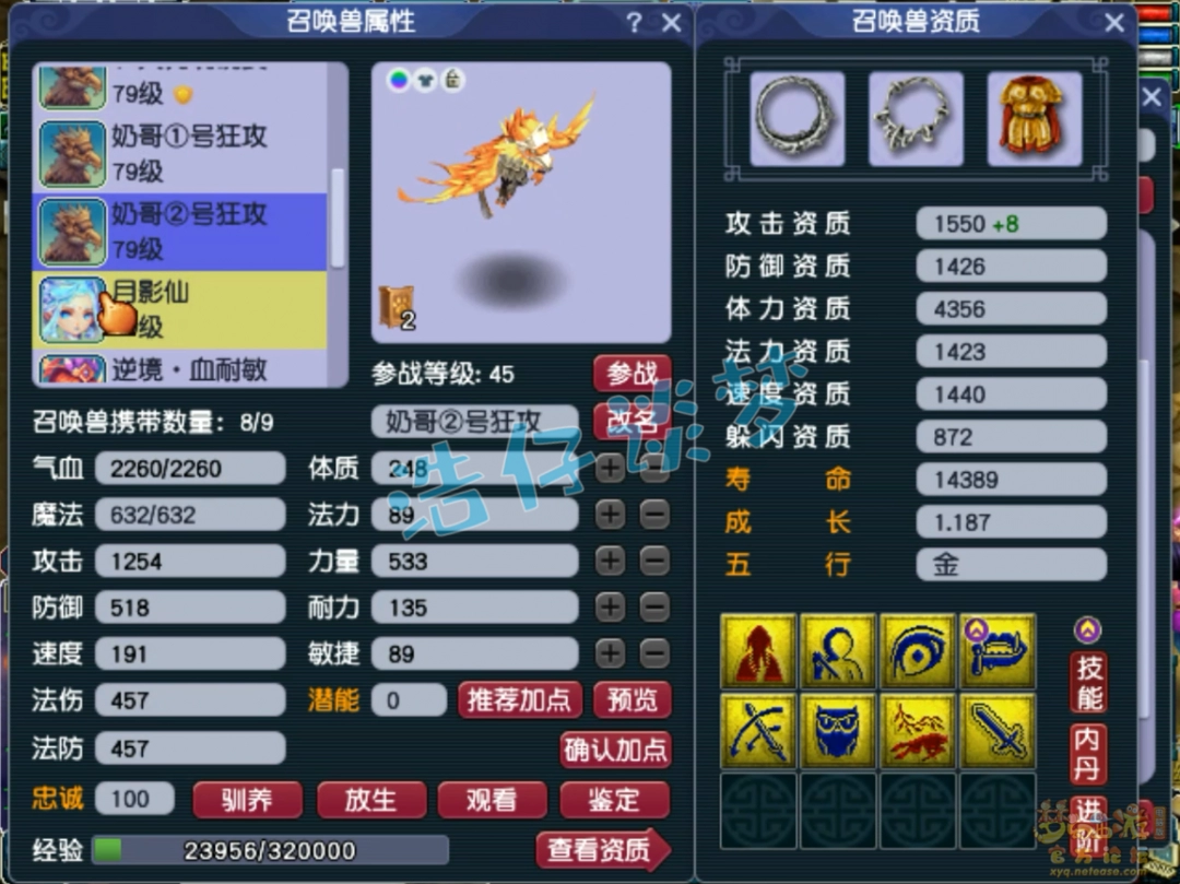 梦幻西游凌波城70级展示