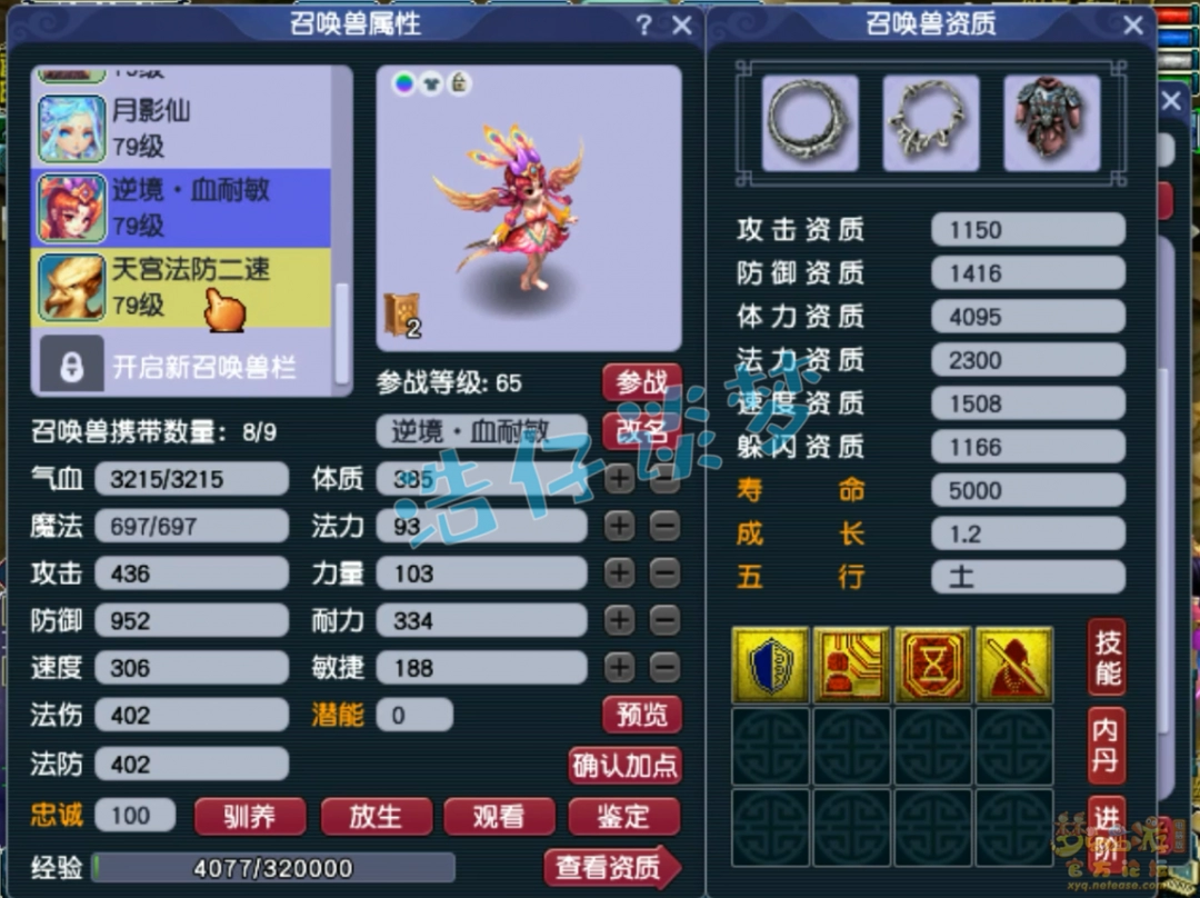 梦幻西游凌波城70级展示