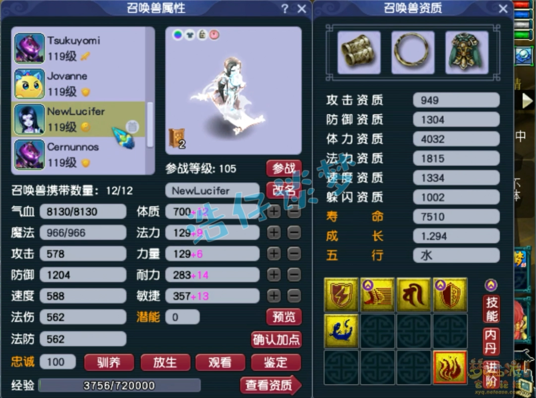 梦幻西游109竞速龙宫装备展示