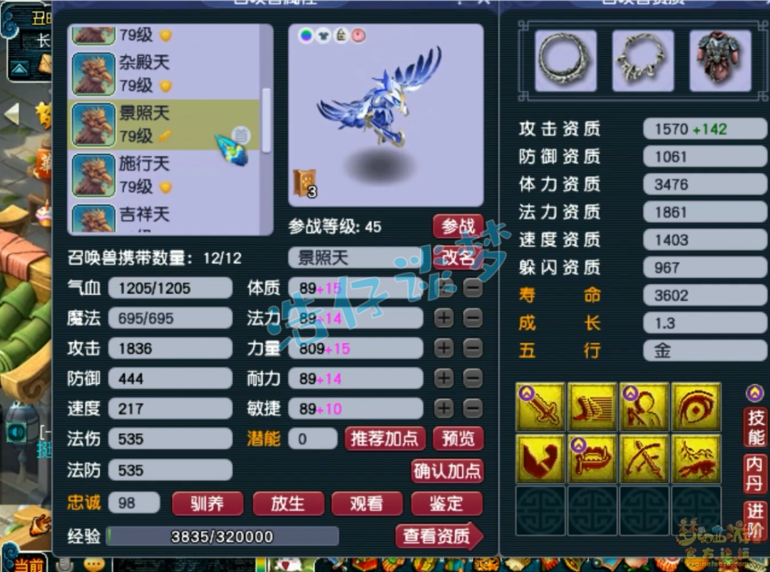 梦幻西游天宫装备69级展示图