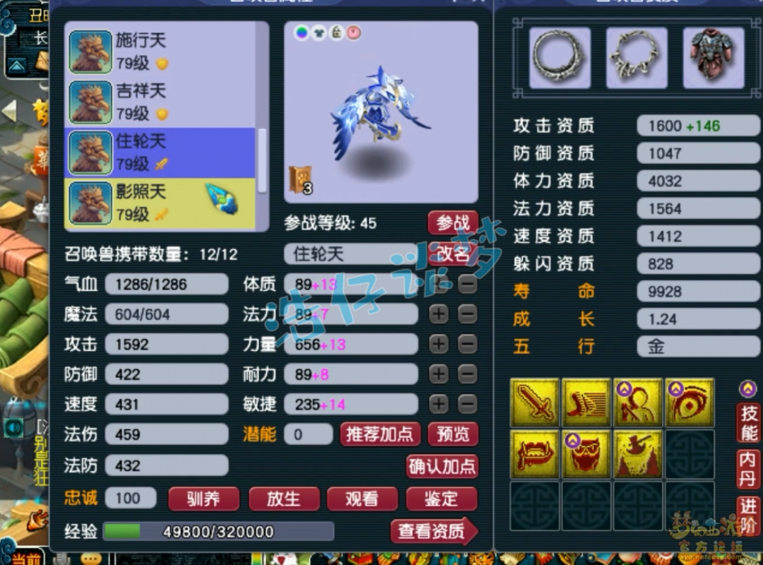 梦幻西游天宫装备69级展示图