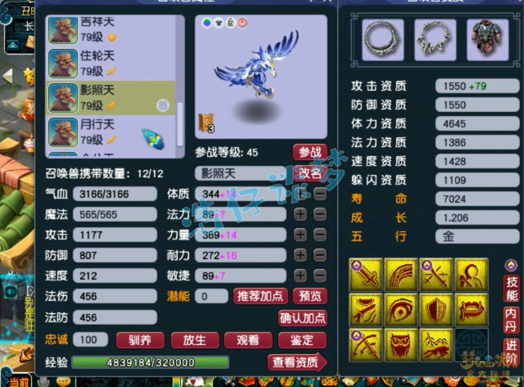 梦幻西游天宫装备69级展示图