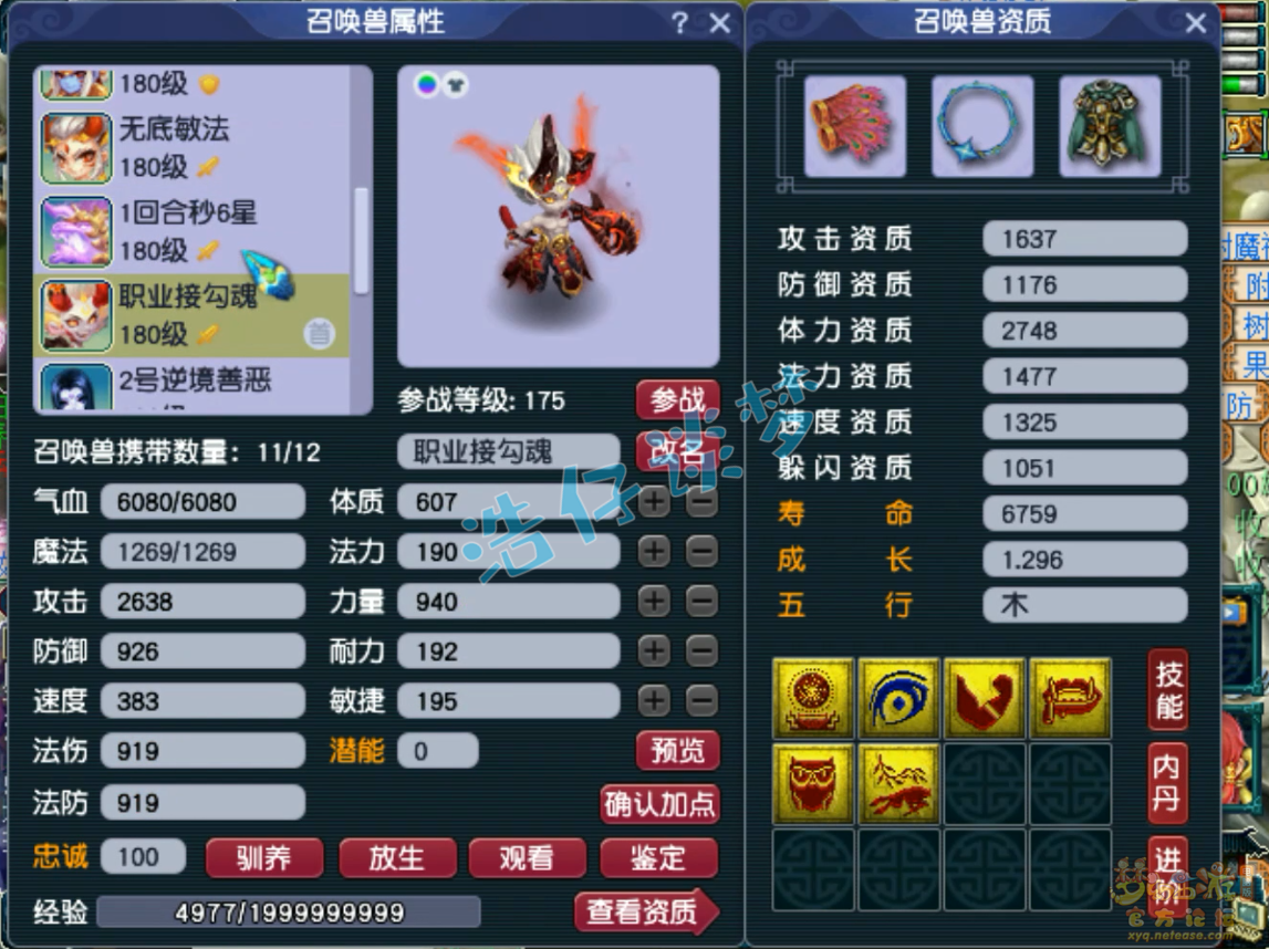 梦幻西游无底洞装备展示图175级