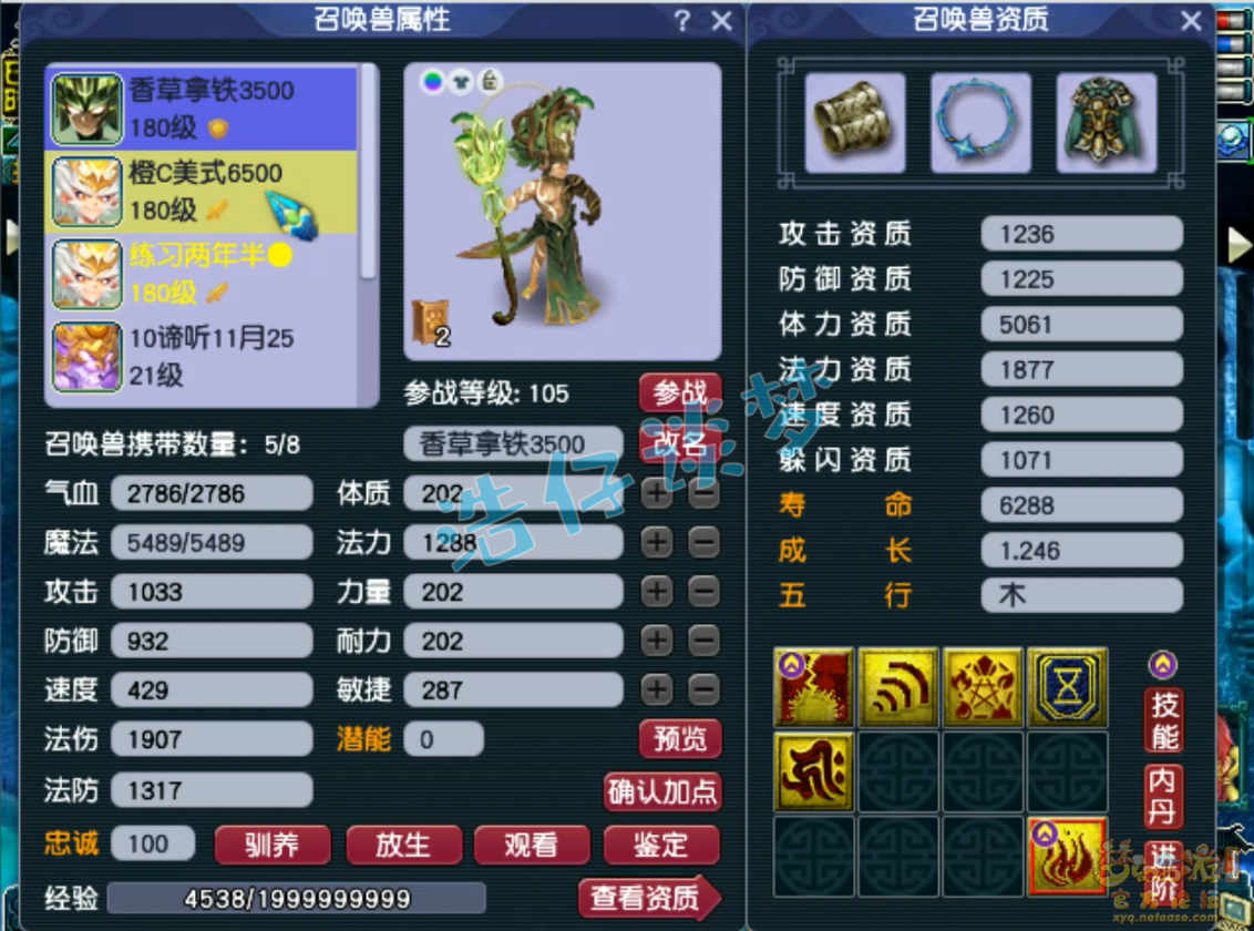 梦幻西游175级神木林装备展示图