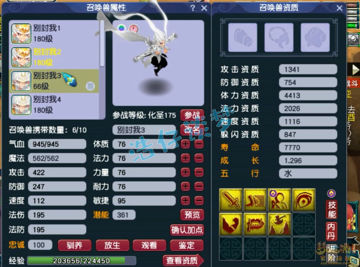梦幻西游凌波城175装备展示图