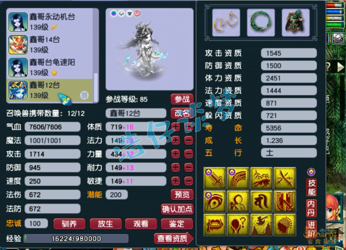 梦幻西游129级普陀山装备展示图