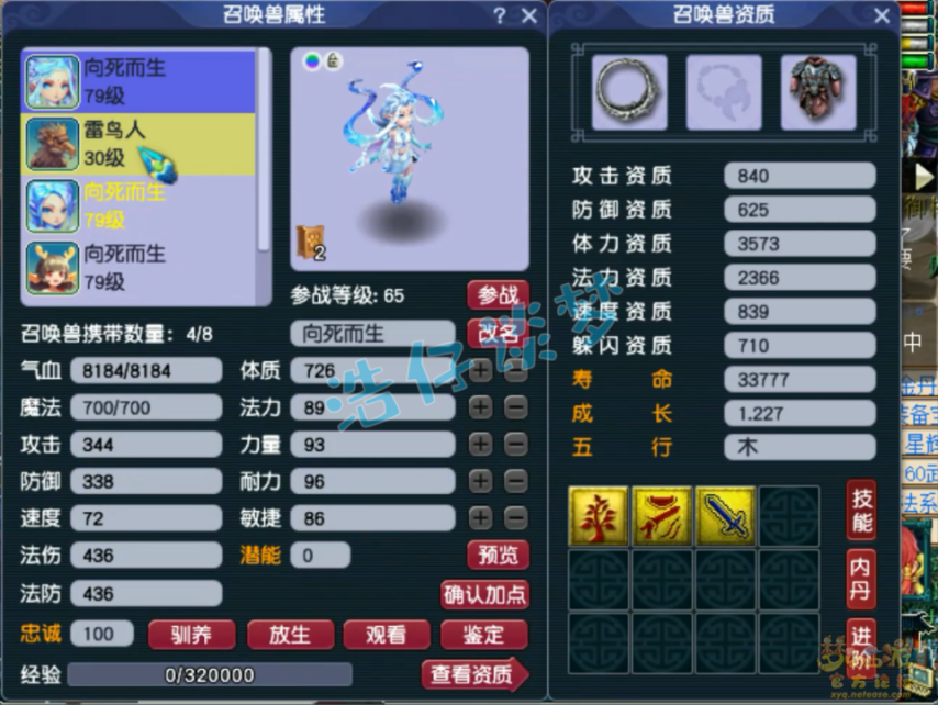 梦幻西游69级神木林装备展示图