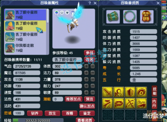 梦幻西游力天宫69级装备展示图