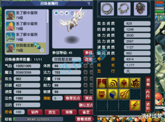 梦幻西游力天宫69级装备展示图