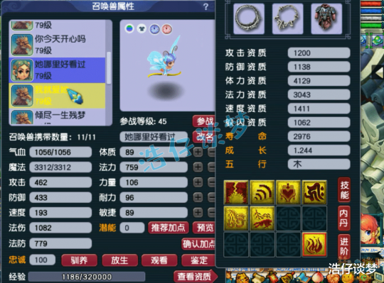 梦幻西游力天宫69级装备展示图
