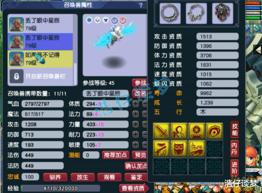 梦幻西游力天宫69级装备展示图