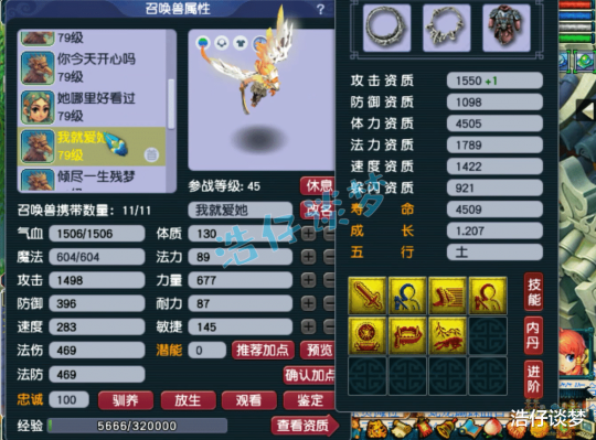 梦幻西游力天宫69级装备展示图