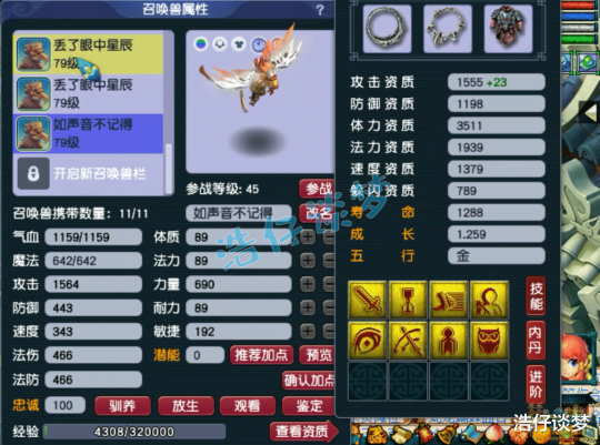 梦幻西游力天宫69级装备展示图