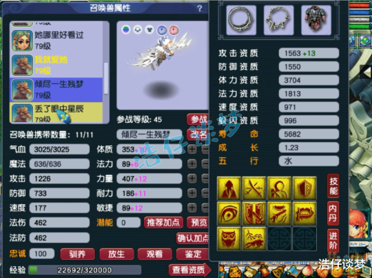 梦幻西游力天宫69级装备展示图