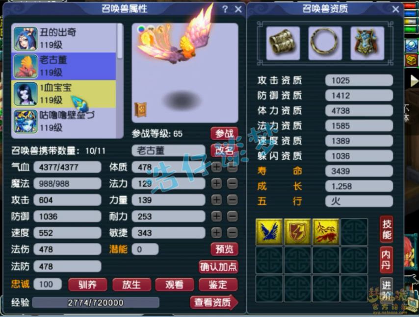 梦幻西游普陀山装备109级展示图