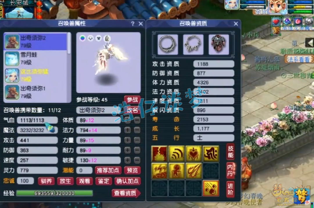 梦幻西游力普陀69级装备展示图