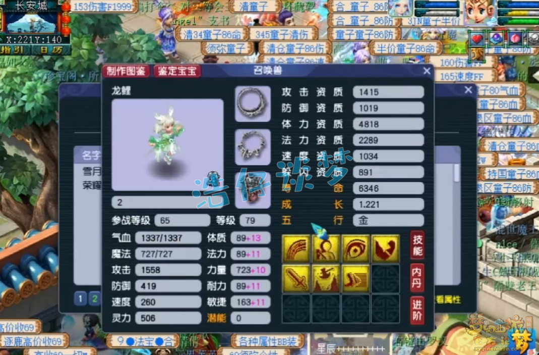 梦幻西游力普陀69级装备展示图