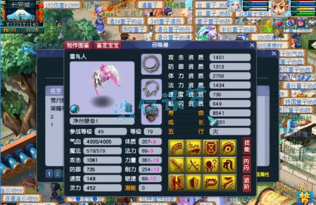 梦幻西游力普陀69级装备展示图