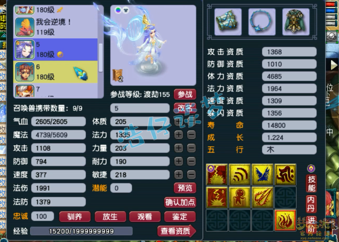 梦幻西游女儿村175级帮战装备展示图