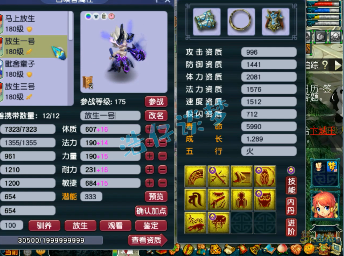 梦幻西游凌波城服战175级装备展示图