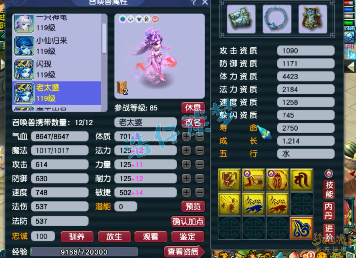 梦幻西游109级九黎城装备展示图