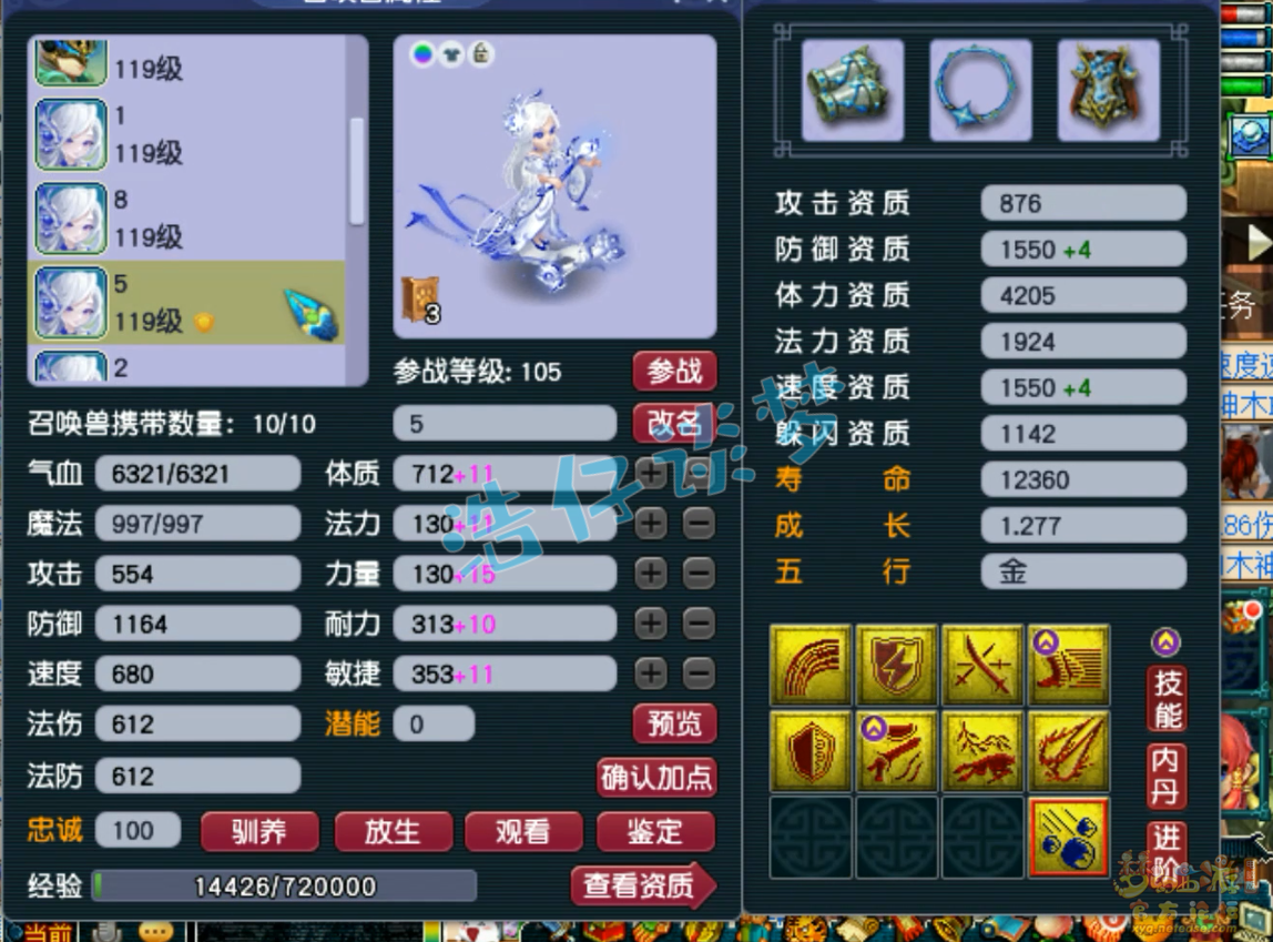 梦幻西游东海渊装备展示图109级