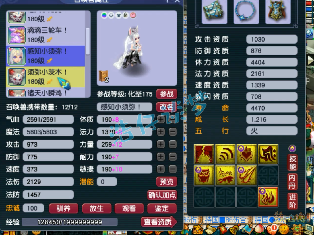 梦幻西游175虎贲大唐装备展示图