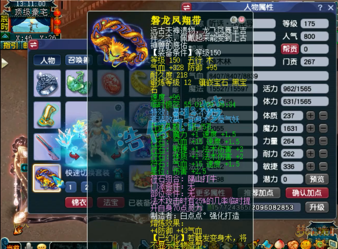 梦幻西游竞速175级神木林装备展示图