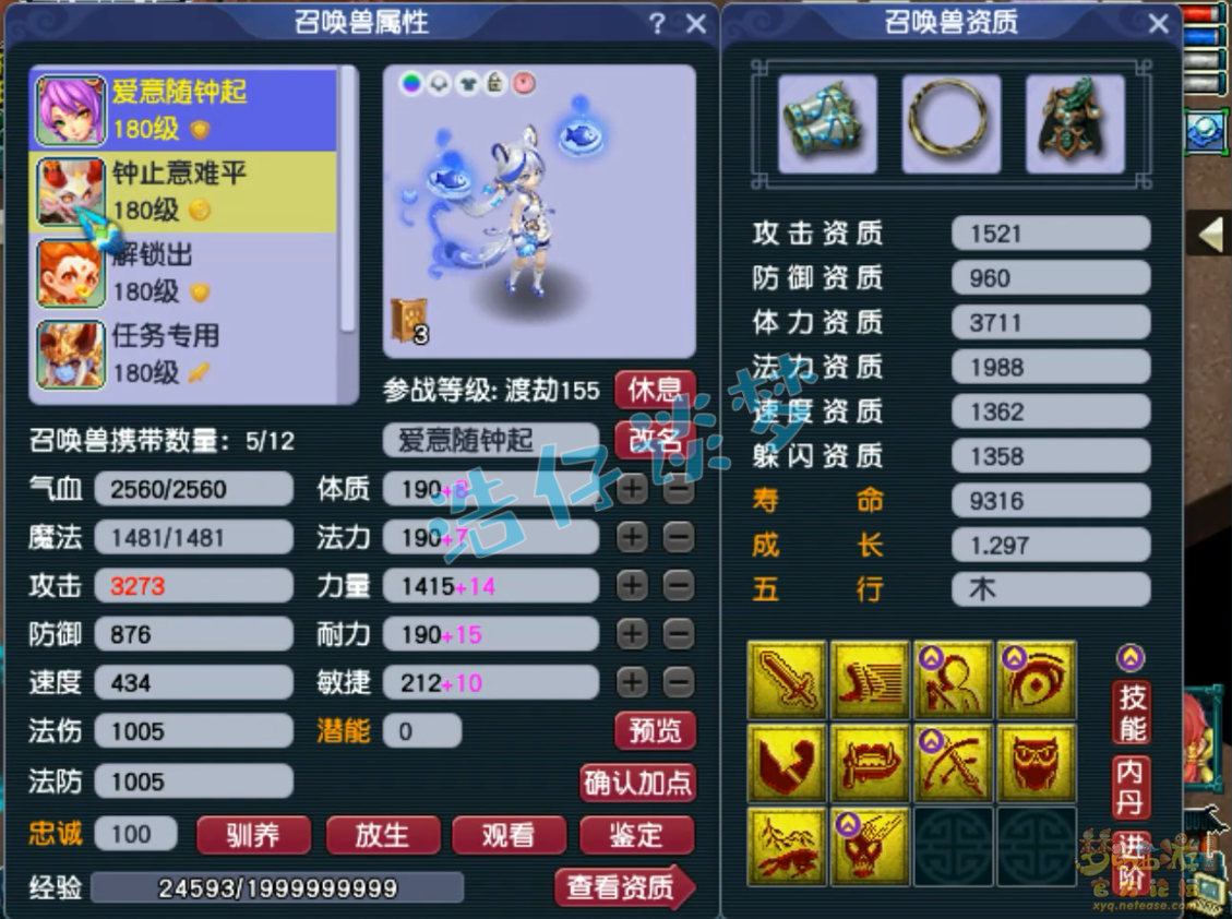 梦幻西游竞速175级神木林装备展示图