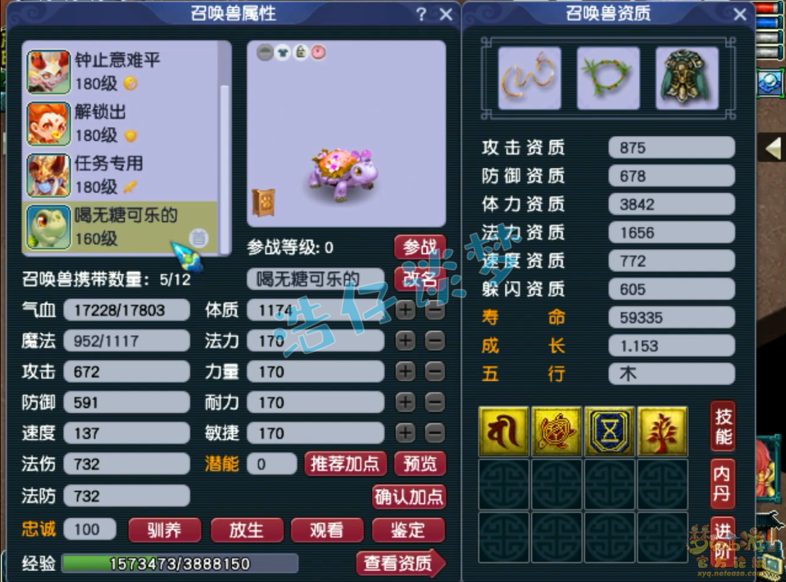 梦幻西游竞速175级神木林装备展示图