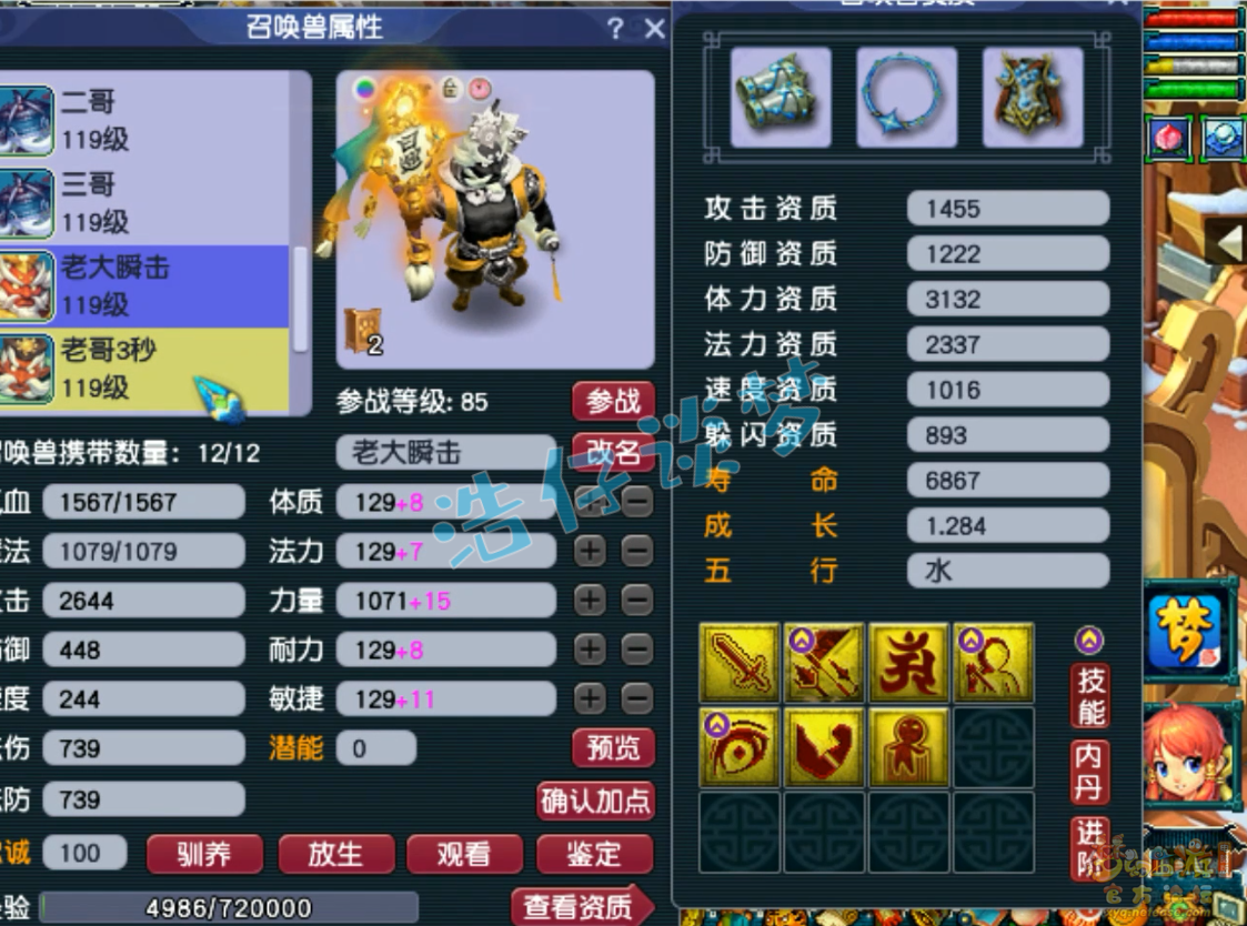 梦幻西游单挑九黎城109级装备展示图