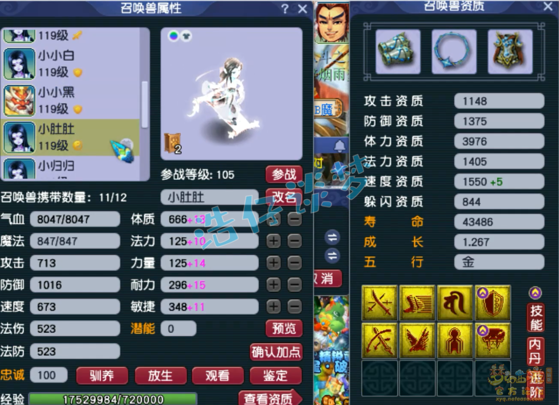 梦幻西游九黎城109级PK装备展示图