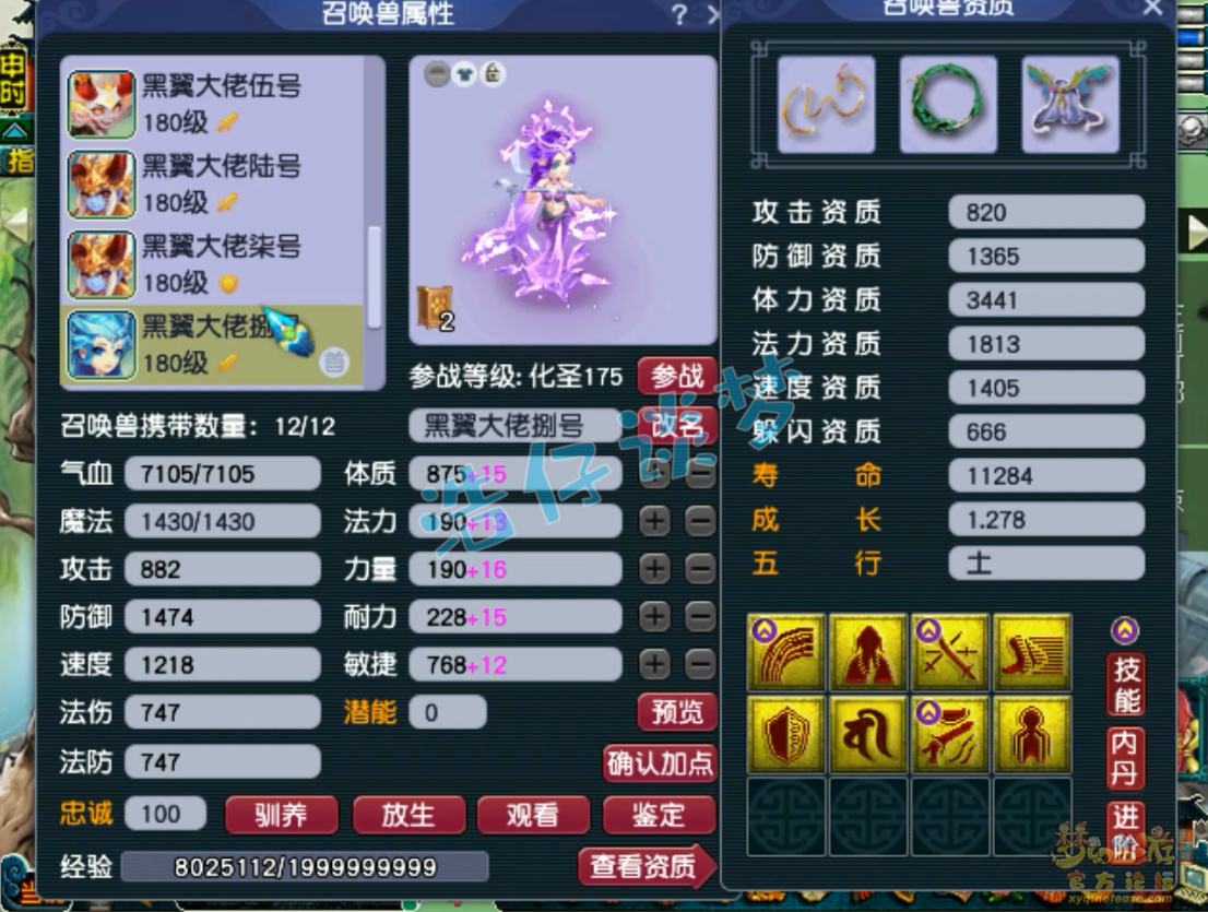 梦幻西游力普陀装备展示图175级
