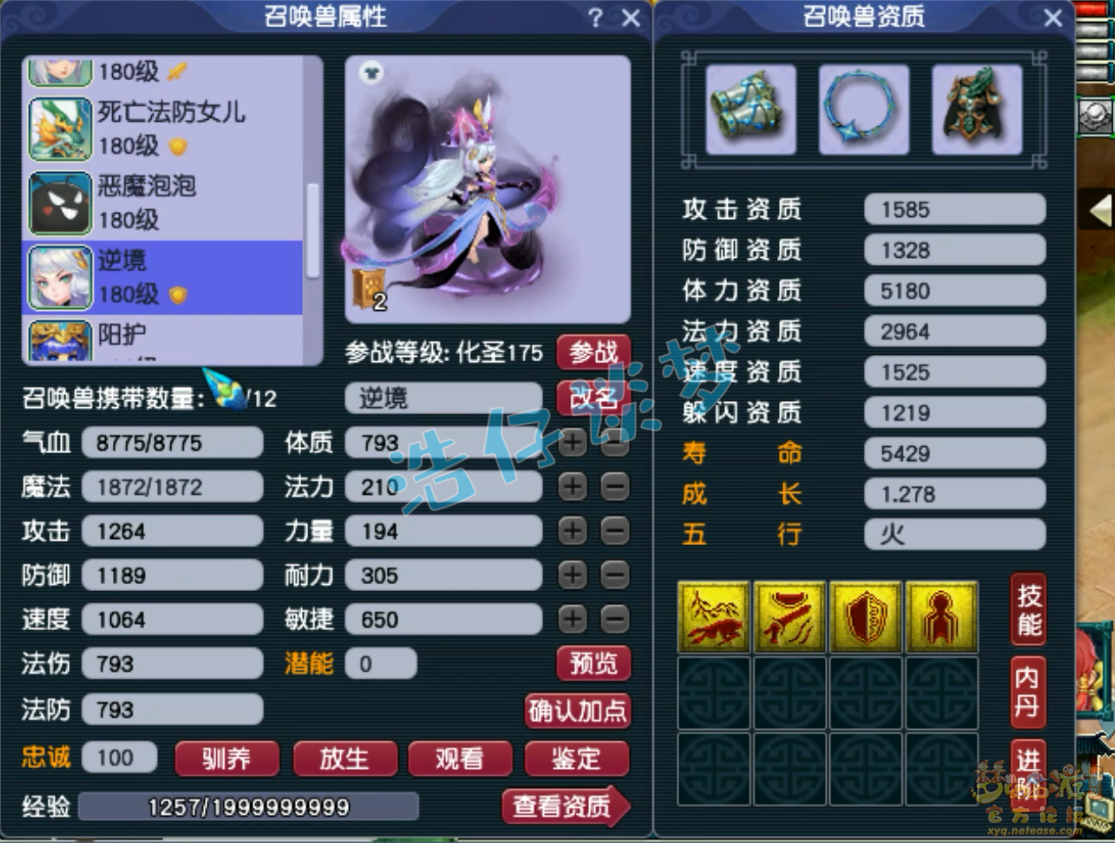 梦幻西游175力五庄装备展示图