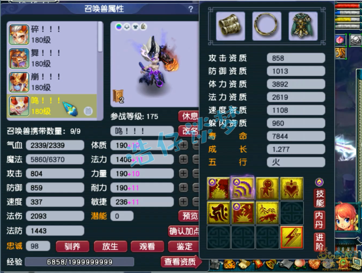梦幻西游175级三攻狮驼岭装备展示图
