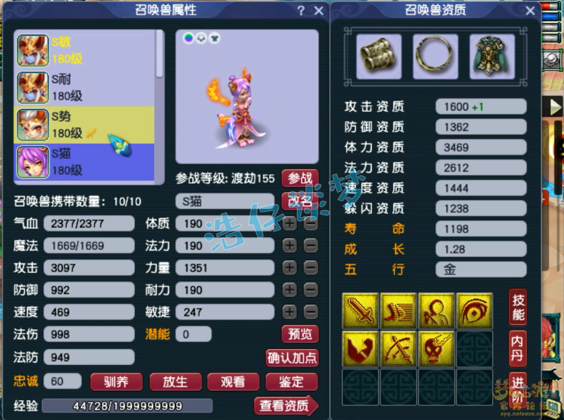 梦幻西游175级帮战神木林装备展示图