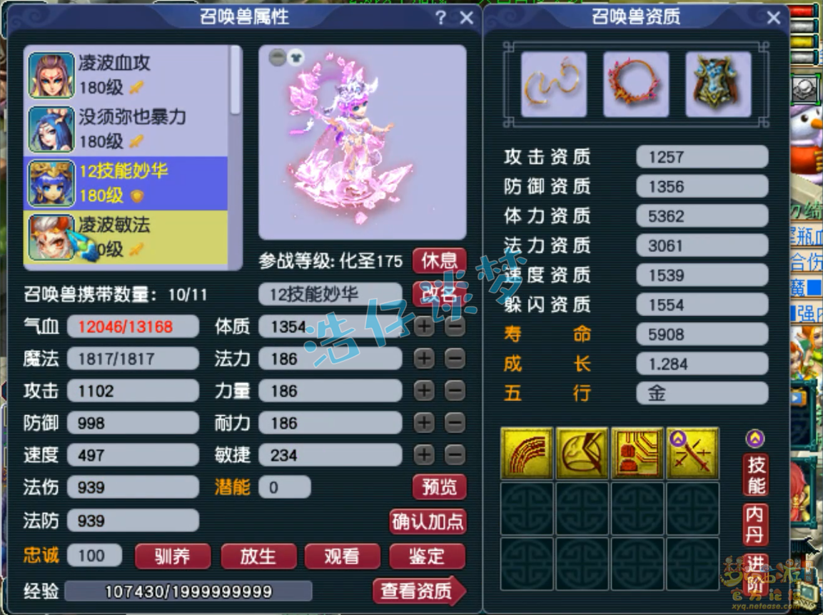 梦幻西游175级帮战凌波城装备展示图