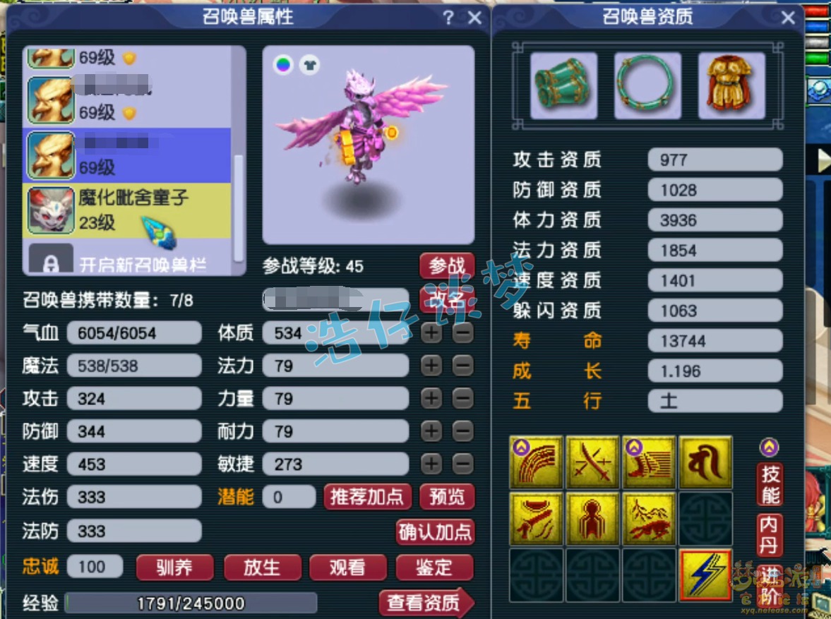 梦幻西游59狮驼岭PK装备展示图